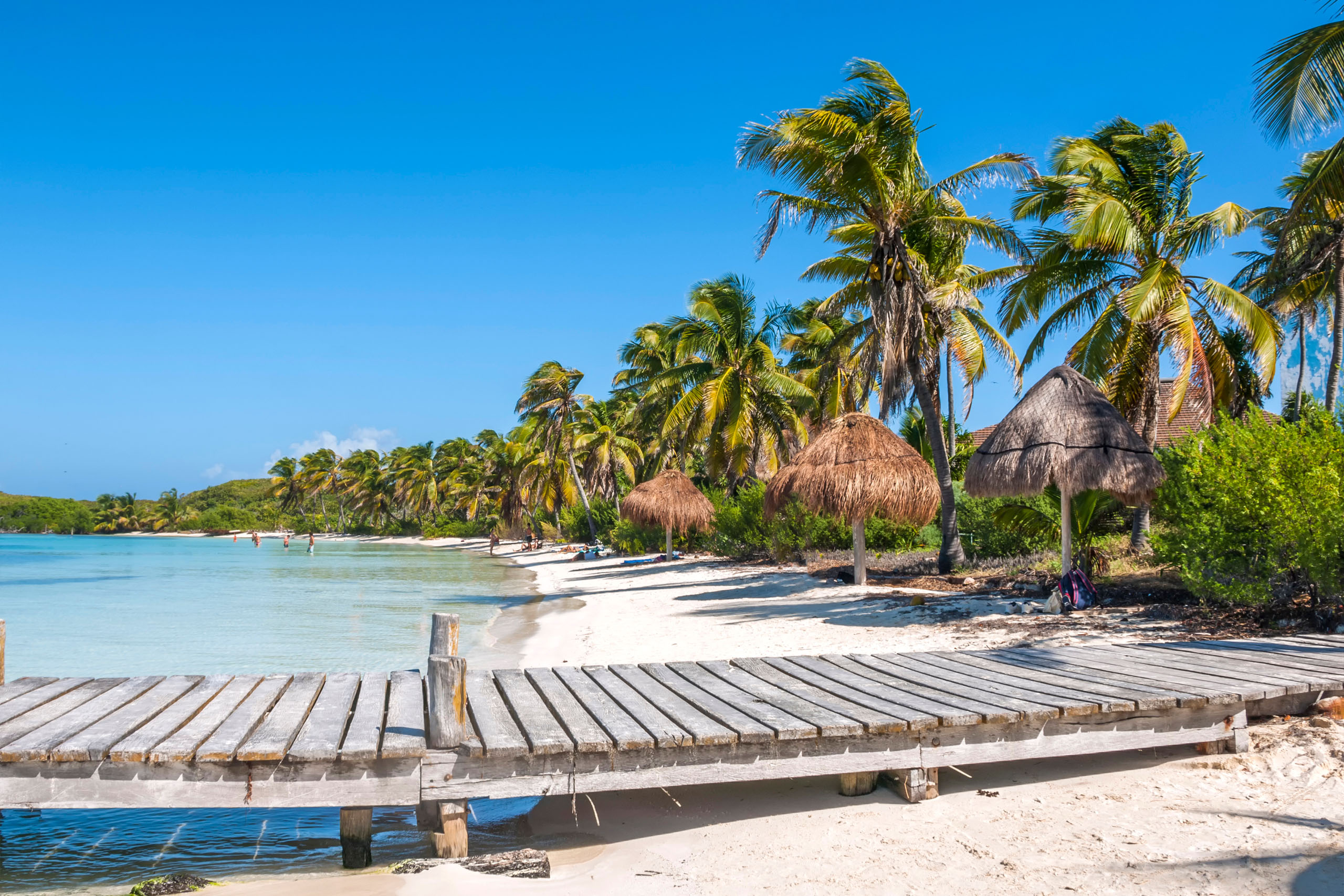 Isla Contoy vs Isla Mujeres: Which Island Should You Visit?